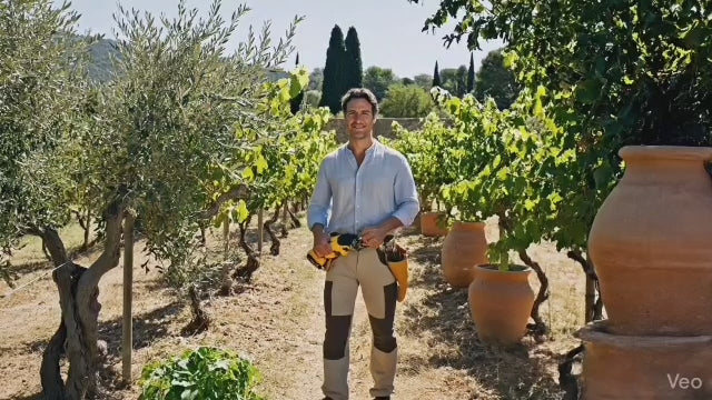 Forbici da potatura elettriche professionali 50mm